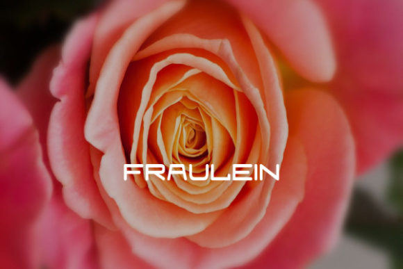 Fraulein: A Clean, Modern Sans Serif for Creative Projects
