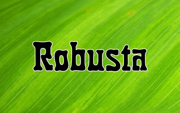 Robusta: A Stunning Font for Modern Design